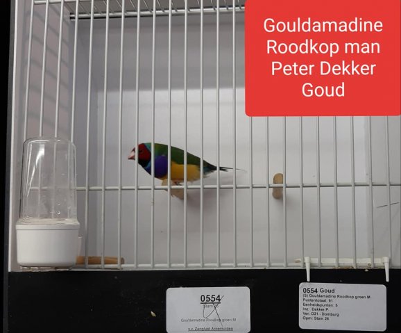 peter dekker 